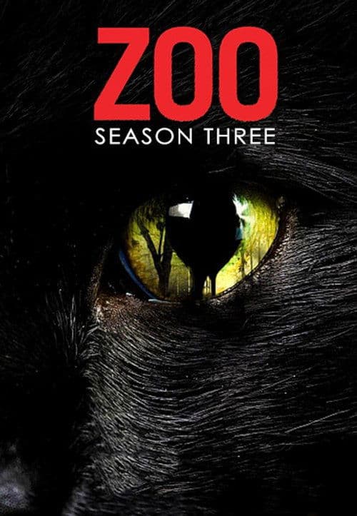 Zoo HD Full